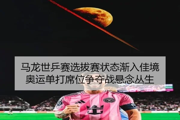 马龙世乒赛选拔赛状态渐入佳境 奥运单打席位争夺战悬念丛生