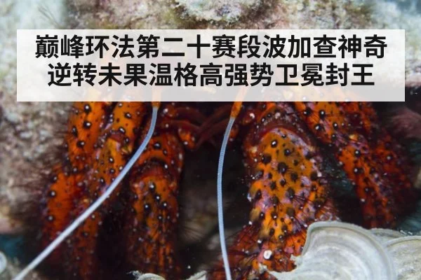 巅峰环法第二十赛段波加查神奇逆转未果温格高强势卫冕封王